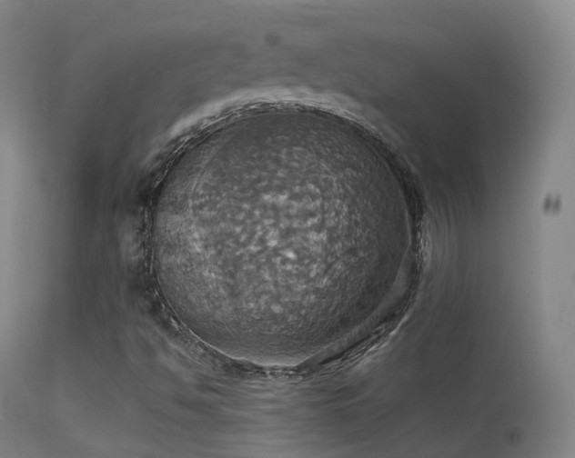 X0000113231494200909171526