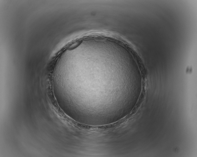 X0000113231496200909171526