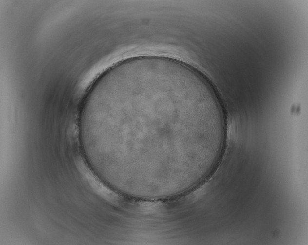 X0000113231498200909171526