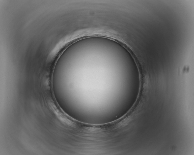 X0000113231499200909171526