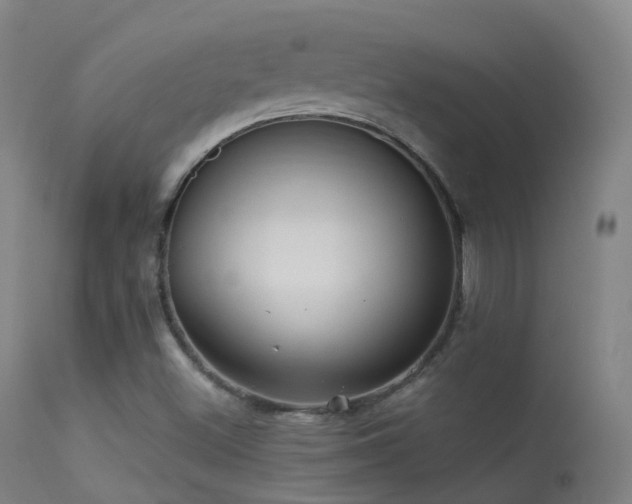 X0000113231500200909171527