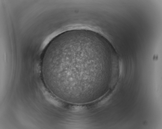 X0000113231501200909171527