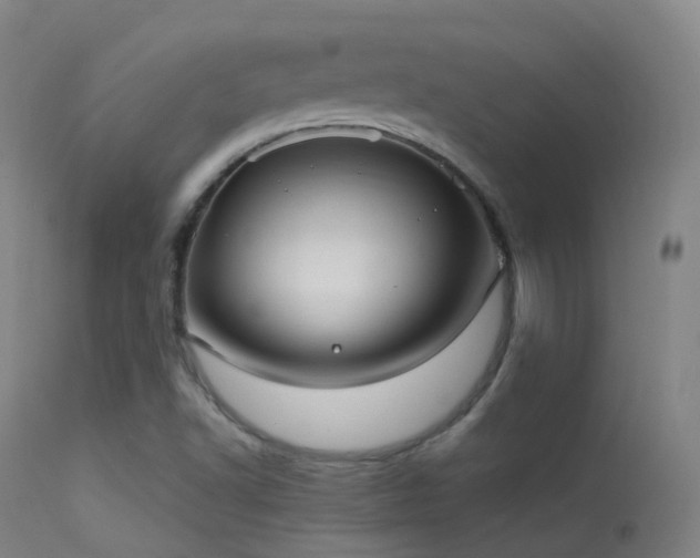 X0000113231502200909171527