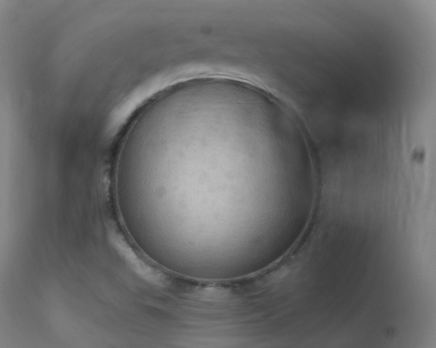 X0000113231503200909171527