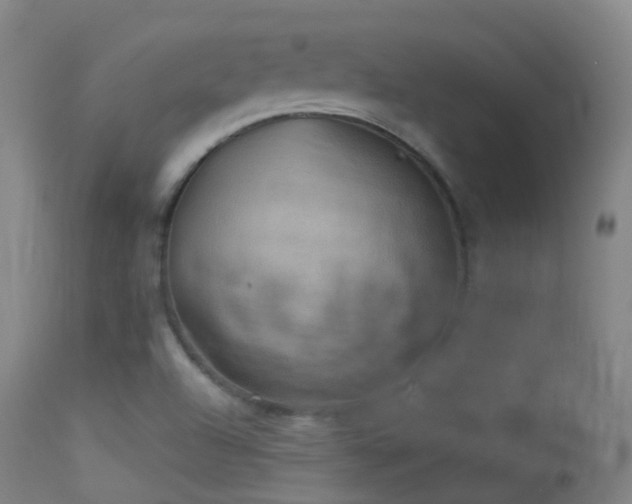 X0000113231504200909171527