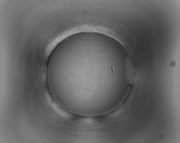 X0000113231507200909171527