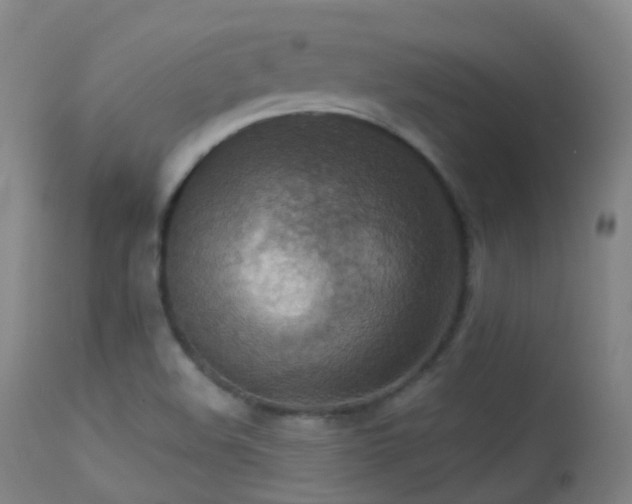 X0000113231508200909171527