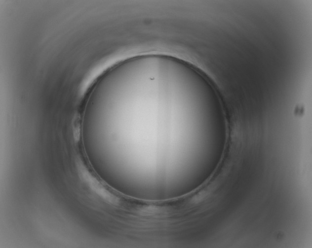 X0000113231510200909171527