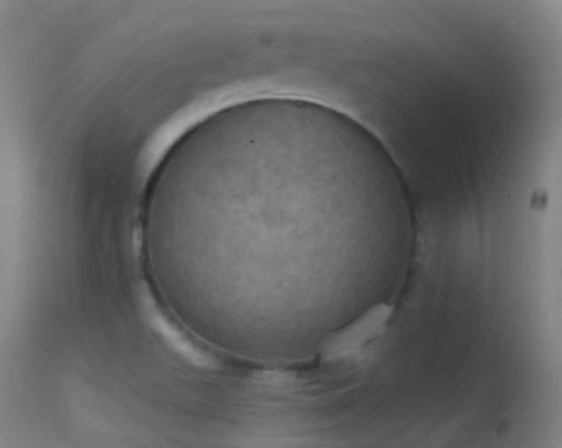 X0000113231511200909171527