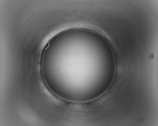 X0000113231512200909171527