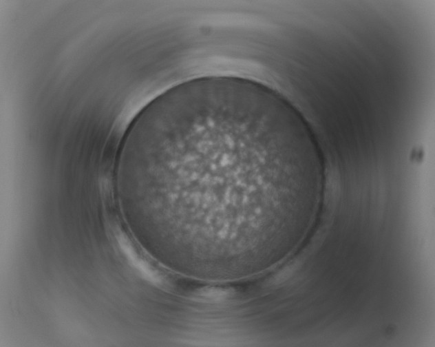 X0000113231513200909171527