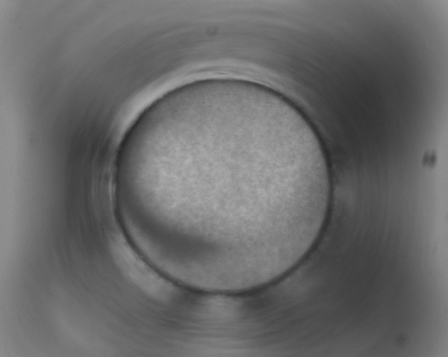 X0000113231514200909171527