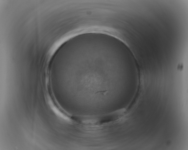 X0000113231515200909171527