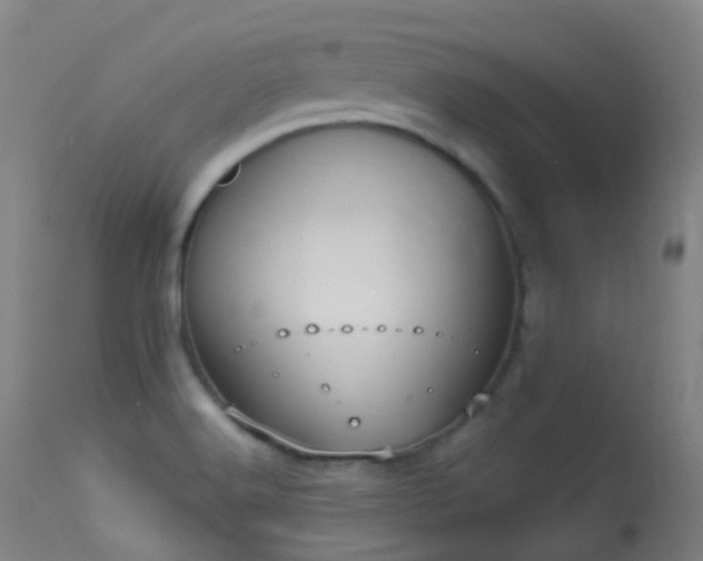 X0000113231516200909171527