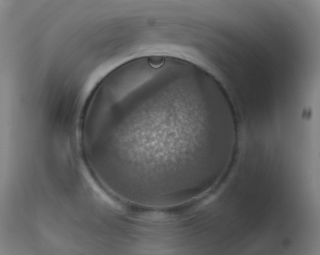 X0000113231517200909171527