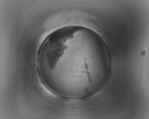 X0000113231519200909171527