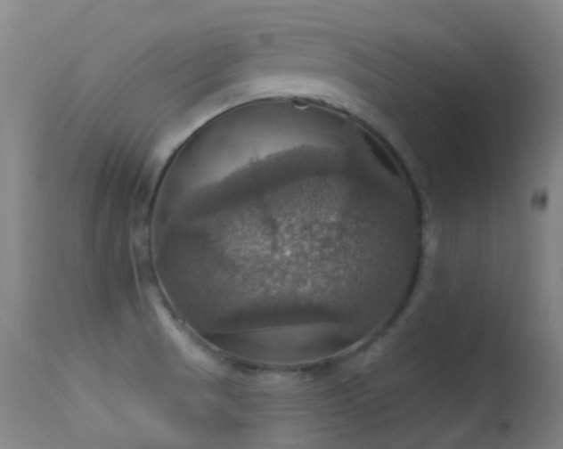 X0000113231521200909171527