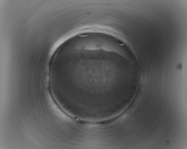 X0000113231522200909171527