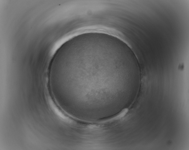 X0000113231523200909171527