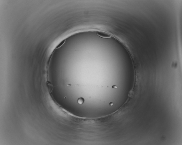 X0000113231524200909171527