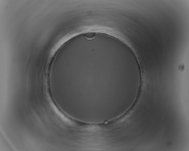 X0000113231525200909171527