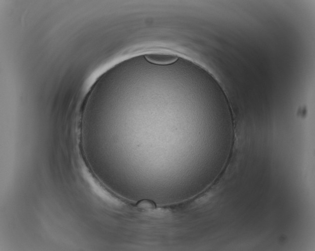 X0000113231526200909171527