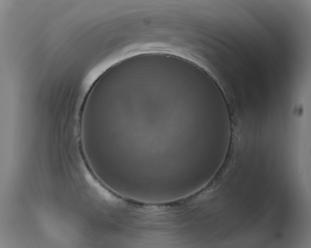 X0000113231527200909171527