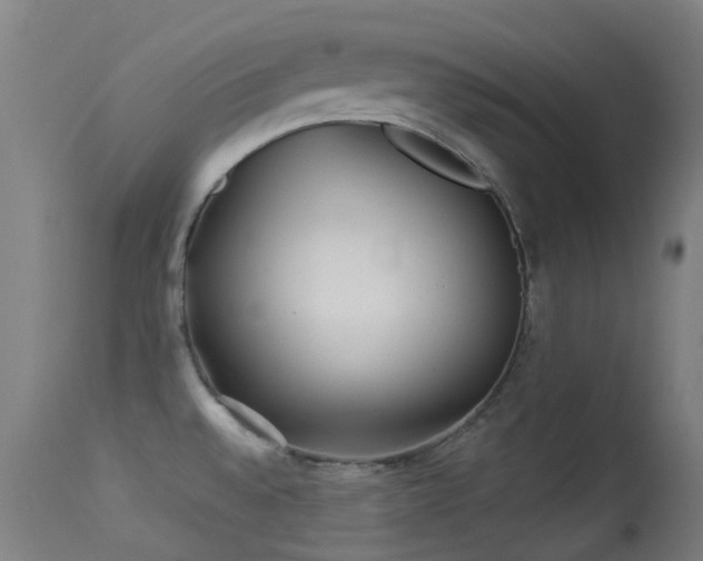 X0000113231528200909171527