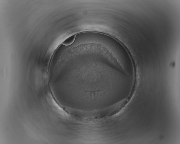 X0000113231529200909171527