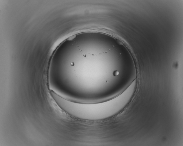 X0000113231530200909171527