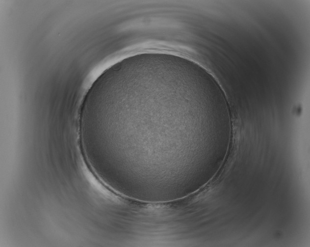 X0000113231531200909171527