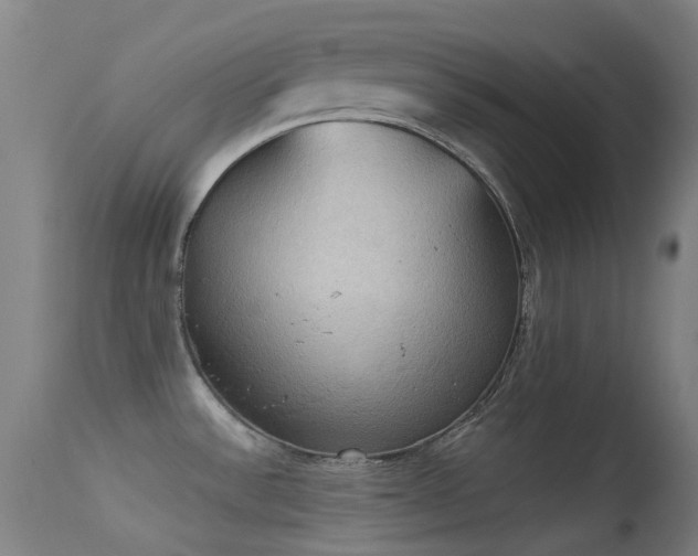 X0000113231532200909171527