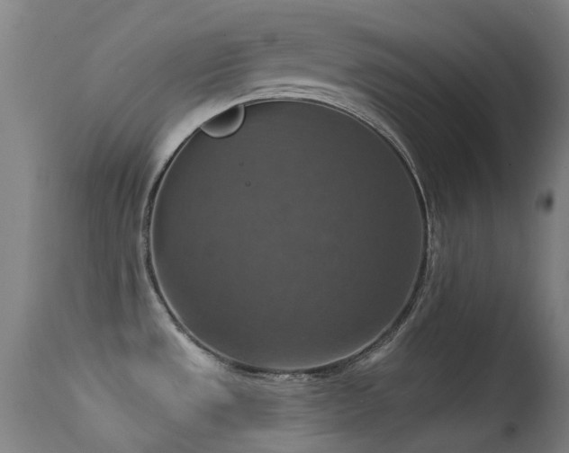 X0000113231533200909171527