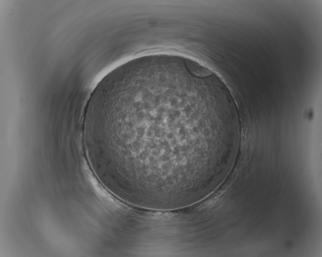 X0000113231534200909171527
