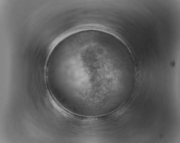 X0000113231535200909171527