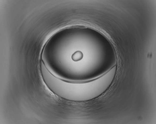 X0000113231536200909171527