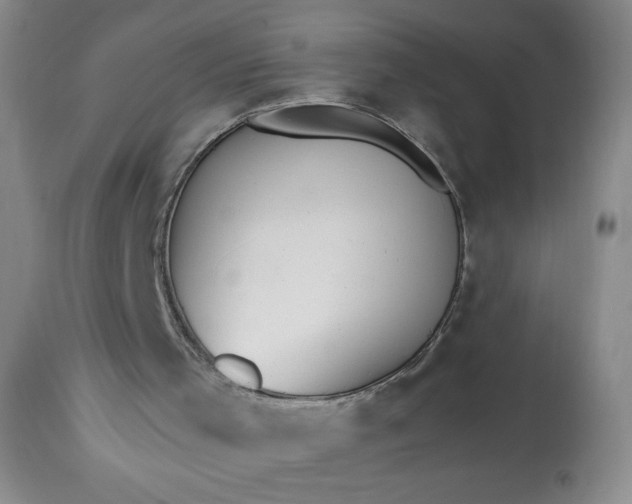 X0000113230001200909241533