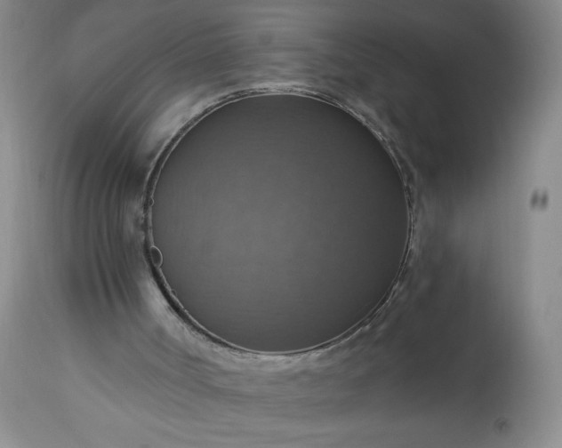 X0000113230002200909241533