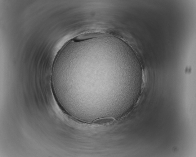 X0000113230003200909241533