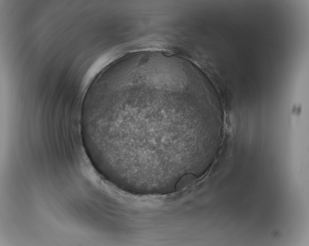 X0000113230004200909241533