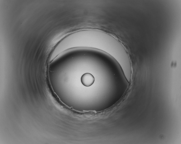 X0000113230005200909241533