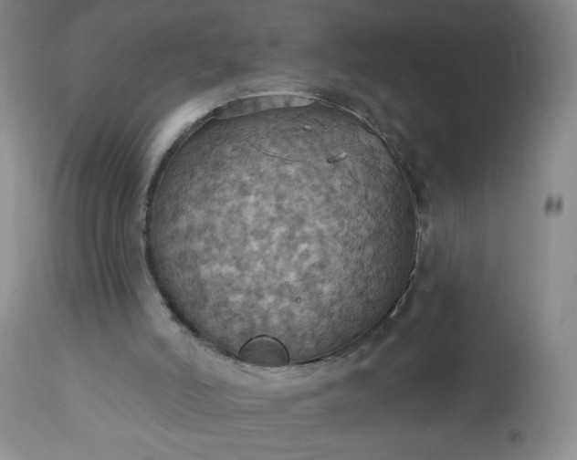 X0000113230006200909241533