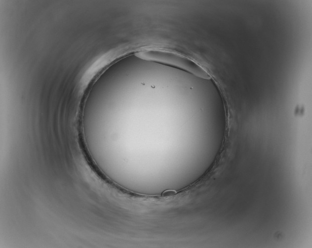 X0000113230007200909241533