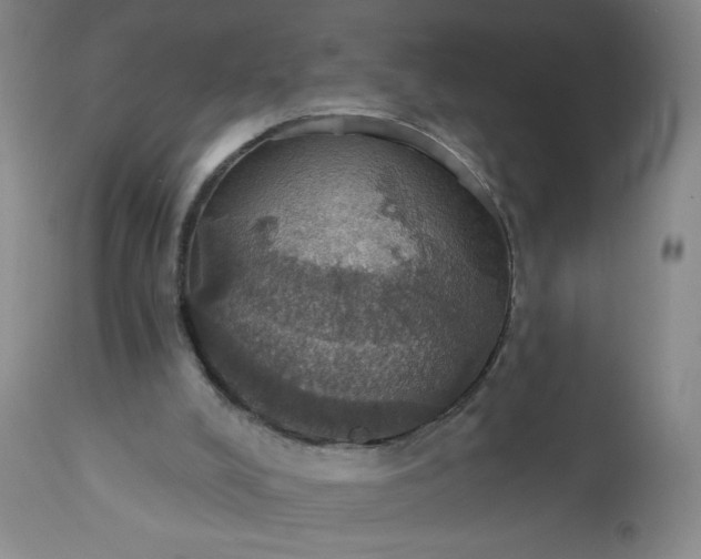 X0000113230008200909241533