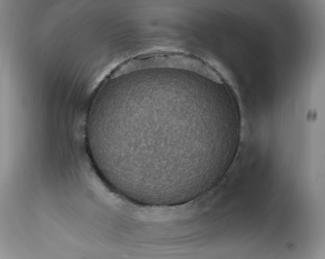 X0000113230009200909241533