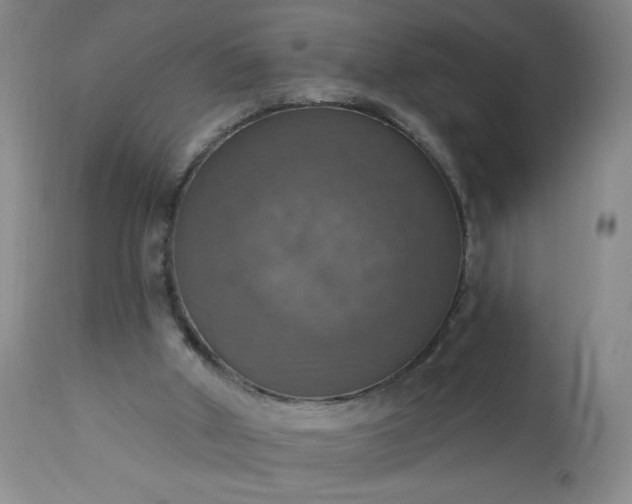 X0000113230010200909241533