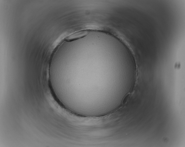 X0000113230011200909241533