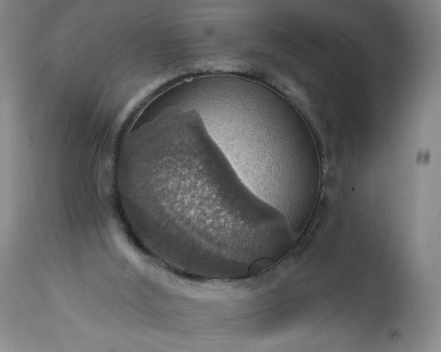 X0000113230012200909241533