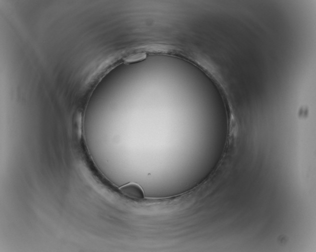 X0000113230013200909241533