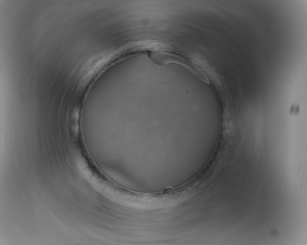 X0000113230014200909241533